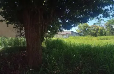 Casa comercial para alugar na Rua Mal. Floriano, 191, Centro, Campos dos Goytacazes