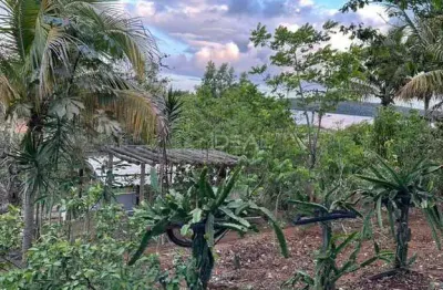 Chácara em  lagoa de cima são benedito   -  campos dos goytacazes