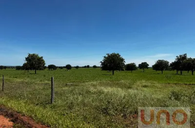Fazenda para venda em pontinha do cocho beira de asfalto em camapuã - ms