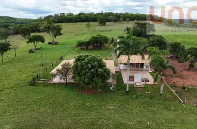 Fazenda à Venda em Camapuã/MS | 239 ha | Rica em Água | Pontinha do Cocho