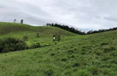 Fazenda com 4 dormitórios à venda, 700000 m² por r$ 1.499.900,00 - centro - juiz de fora/mg