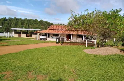 Fazenda em goianá a venda com 75 hectares - alta produção de silagem além de excelente para pecuária - fácil acesso!