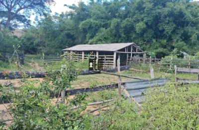 Sítio à venda, 440000 m² por r$ 650.000,00 - centro - torreões (juiz de fora)/mg