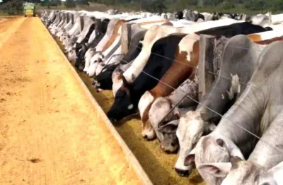 Fazenda 4.405 hectares - grãos/eucalipto/pastagem - mineiros/go