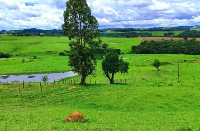 Grande oportunidade fazendola 12,19 alqueires - itapetininga/sp