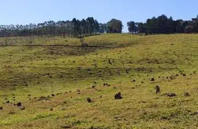 Fazenda com 1 sala à venda na Zona Rural, Botucatu 