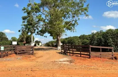 Fazenda com 1 sala à venda na Zona Rural, Piumhi 