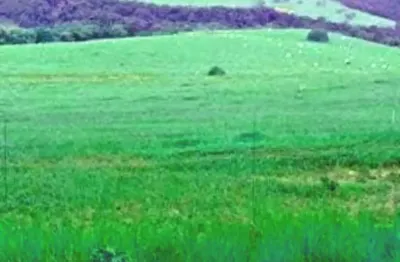 Fazenda com 1 sala à venda na Zona Rural, Bofete 