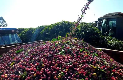 Fazenda com 3 salas à venda na Zona Rural, Luminárias 