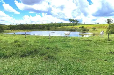 Grande oportunidade  fazenda 294 alqueires  a venda - botucatu/sp