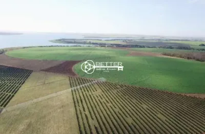 Investimento em fazenda produtora de laranja na  região de votuporanga/sp