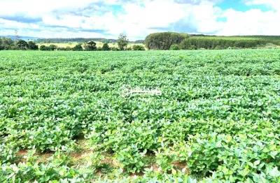 Fazenda 32 alqueires perto da cidade interior sp | guilherme marcondes