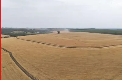 Fazenda 290 ha plantio de soja agro negocio - itapetininga/sp