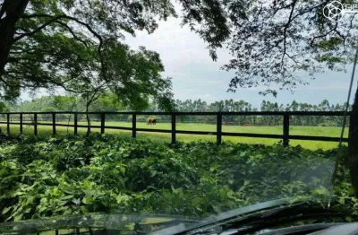 Fazenda com 3 salas à venda na Área Rural de Jaguariúna, Jaguariúna 