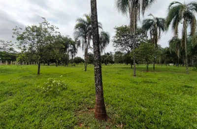 Chácara / sítio à venda na Rua Copaíba, Vila Moreninha III, Campo Grande