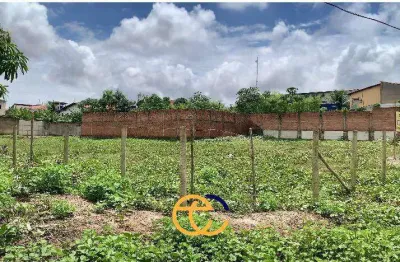 Terreno comercial para alugar na Rua Ipixuna, Parque Pindorama, São Luís