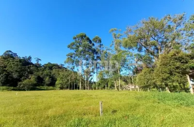 Terreno à venda na Arnoldo Alfredo Stahelin, Santa Tereza, São Pedro de Alcântara