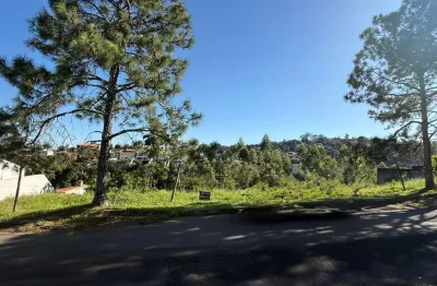 Terreno à venda na Rua Tomaz Loureiro, 12, Parque Jardim da Serra, Juiz de Fora