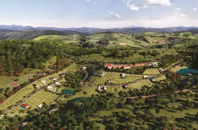 Lançamento no salvaterra entre a natureza e a comodidade para venda