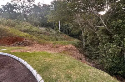 Terreno em condomínio fechado à venda na Rua das Petúnias, 01, Novo Horizonte, Juiz de Fora