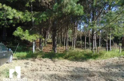 Chácara / sítio à venda em campina do taquaral, são josé dos pinhais  por r$ 2.600.000