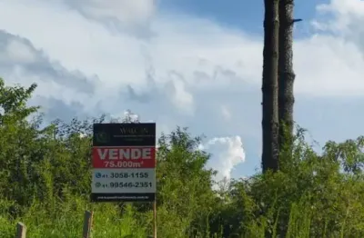 Terreno à venda em campina do taquaral, são josé dos pinhais  por r$ 2.600.000