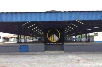 Galpão para alugar, 6.670 m² por r$ 130.000/mês - vila leopoldina - são paulo/sp