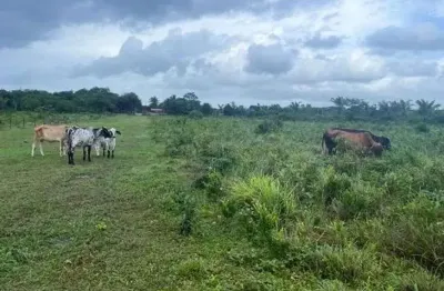 Fazenda em são joão de pirabas de 124 hectares com galpão 1500m² - lt0024sc