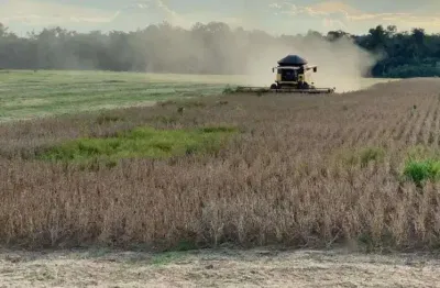 Chácara / sítio à venda na Rodovia Pa 140, 4 Bocas, Tomé-Açú