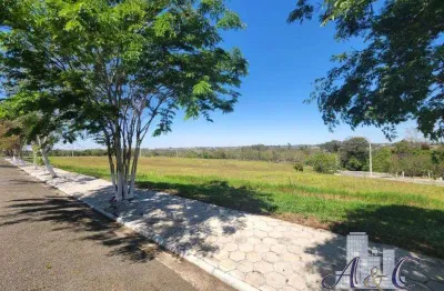 Terreno à venda no Centro, Conchas 