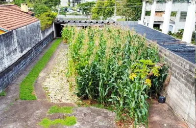 Área para locação em via de grande fluxo, jardim petrópolis, são paulo, sp