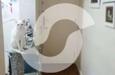 Apartamento 1 quarto para venda em rio de janeiro, botafogo, 1 dormitório, 2 banheiros, 1 vaga