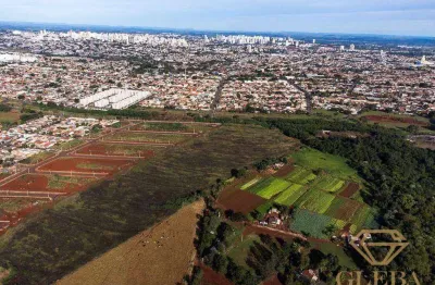 Terreno à venda na Avenida Graciliano Ramos, Cilo 3, Londrina