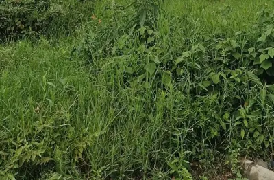 Terreno à venda no São Paulo, Navegantes 