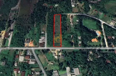 Terreno à venda em Palmital, Garuva 