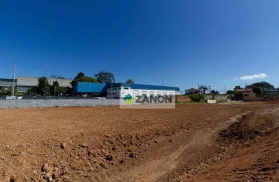 Terreno comercial para alugar na Estrada dos Casa, Dos Casa, São Bernardo do Campo