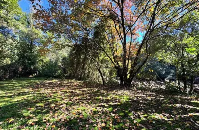 Chácara / sítio à venda na Rua Prefeito José Koering, 1025, Zona Rural, Santo Amaro da Imperatriz