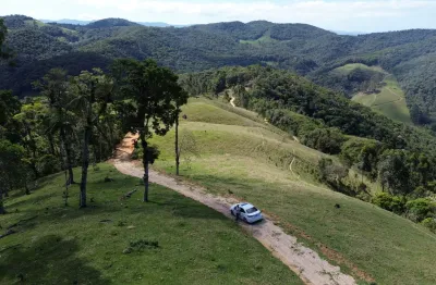 Um belo sitio com uma linda vista em são pedro de alcantara!!!