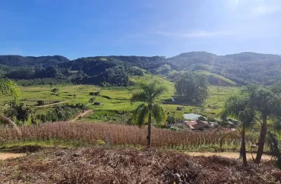 Tereno com escritura publica em águas mornas, otimo para quem procura um lugar de paz!
