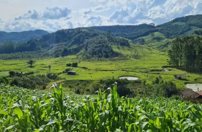 Sitio com linda vista, otimo para quem procura ter aquele lugar de paz!