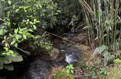 Belo sitio em águas mornas, imovel pefeito para moradia ou investimento!