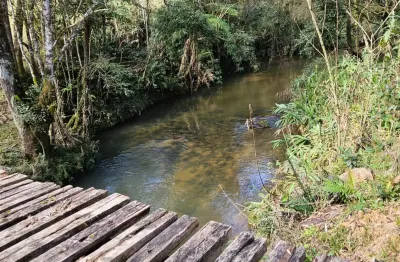 Lindo sitio com escritura, riacho e uma bela mata nos fundos!