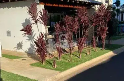 Apartamento para locacao – residencial parque das tulipas i