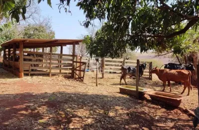 Chácara / sítio à venda na Estrada Abílio Augusto Corrêa, 2150, Machados, Araraquara