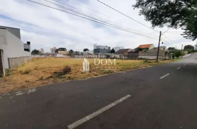 Terreno comercial à venda na Rua Frei Caneca, Santa Cruz, Guarapuava