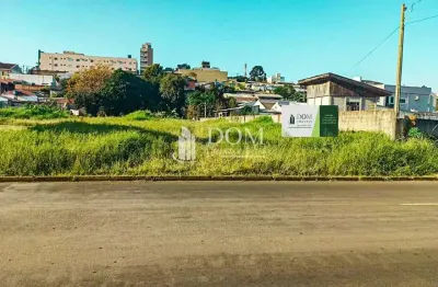 Terreno à venda na Rua Saldanha Marinho, Bonsucesso, Guarapuava