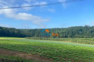 Terreno à venda, 194.153,97m² por r$ 11.650.000 - vila aparecida - suzano/sp