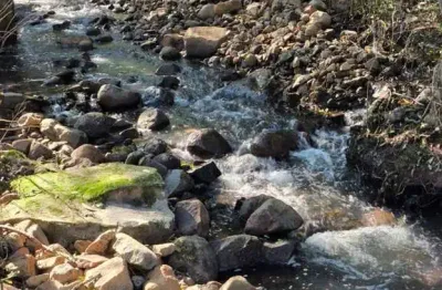 Chácara / sítio à venda no desvio rizzo, caxias do sul  por r$ 499.000