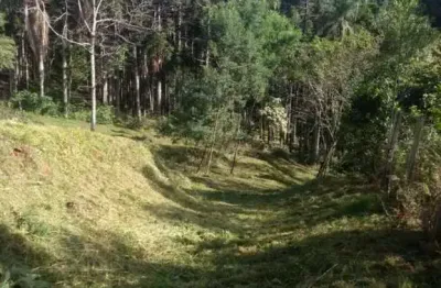 Chácara / sítio à venda no galópolis, caxias do sul  por r$ 230.000