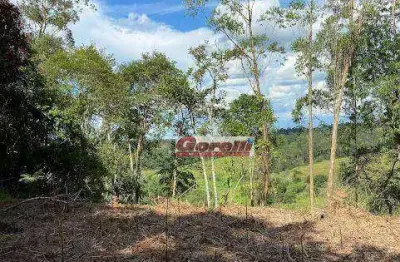 Terreno à venda, 3289 m² por r$ 223.000,00 - estancia arujá - arujá/sp